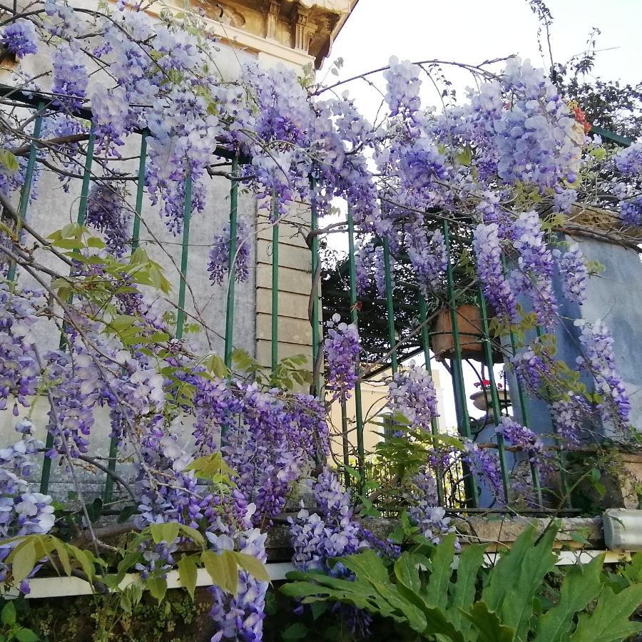 Villa Manasse Ачі-Кастелло Екстер'єр фото